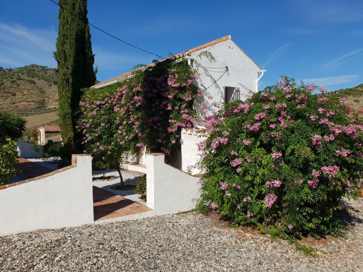 Casa Fuente De La Zorra Pension Alora Buitenkant foto